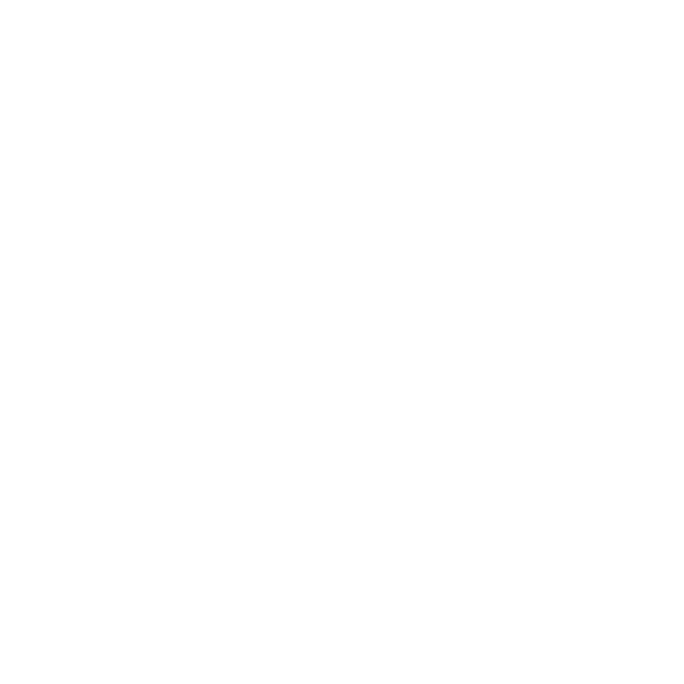 Icon of a rocket